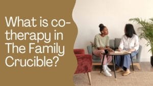 What is co-therapy in The Family Crucible