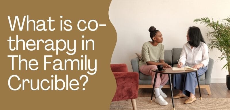 What is co-therapy in The Family Crucible