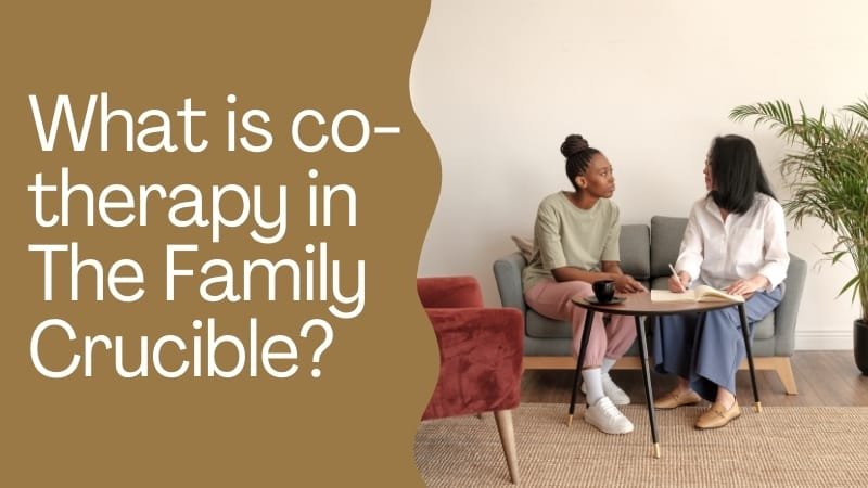 What is co-therapy in The Family Crucible