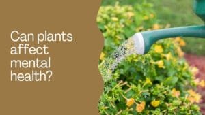 Can plants affect mental health
