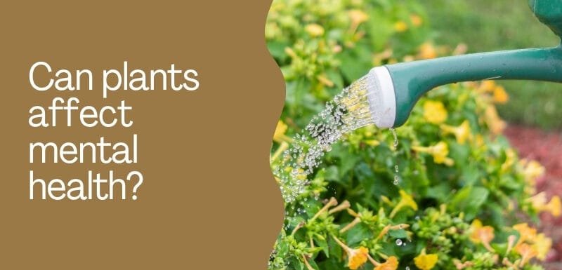 Can plants affect mental health